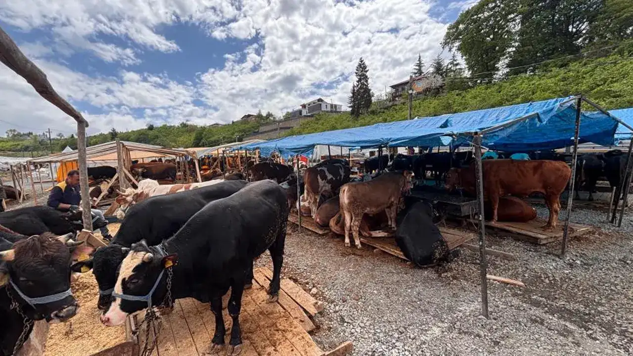 Trabzon’da kurban pazarı hareketlendi