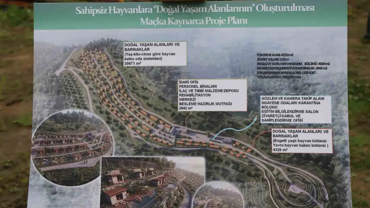 Trabzon'da Sahipsiz Hayvanlar İçin Doğal Yaşam Alanı İnşaatı Başladı
